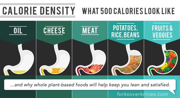 caloric density